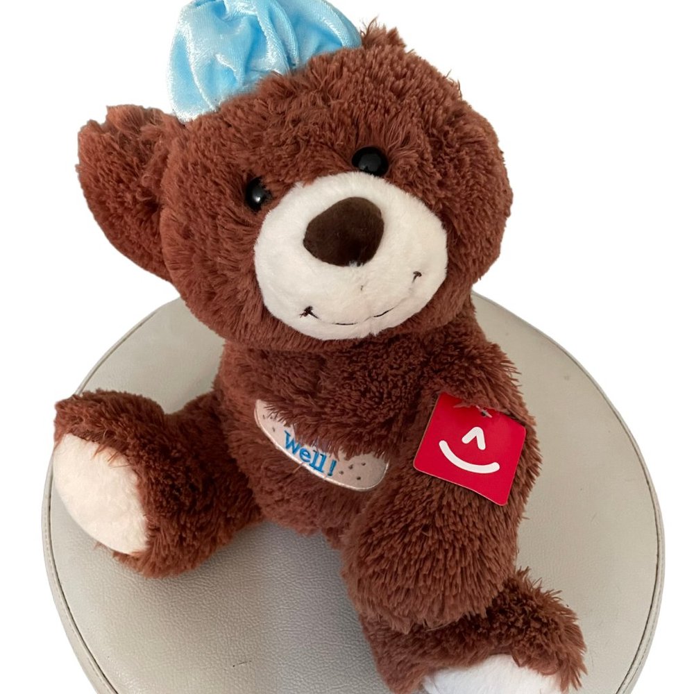 Aurora Get Well Plush Bear